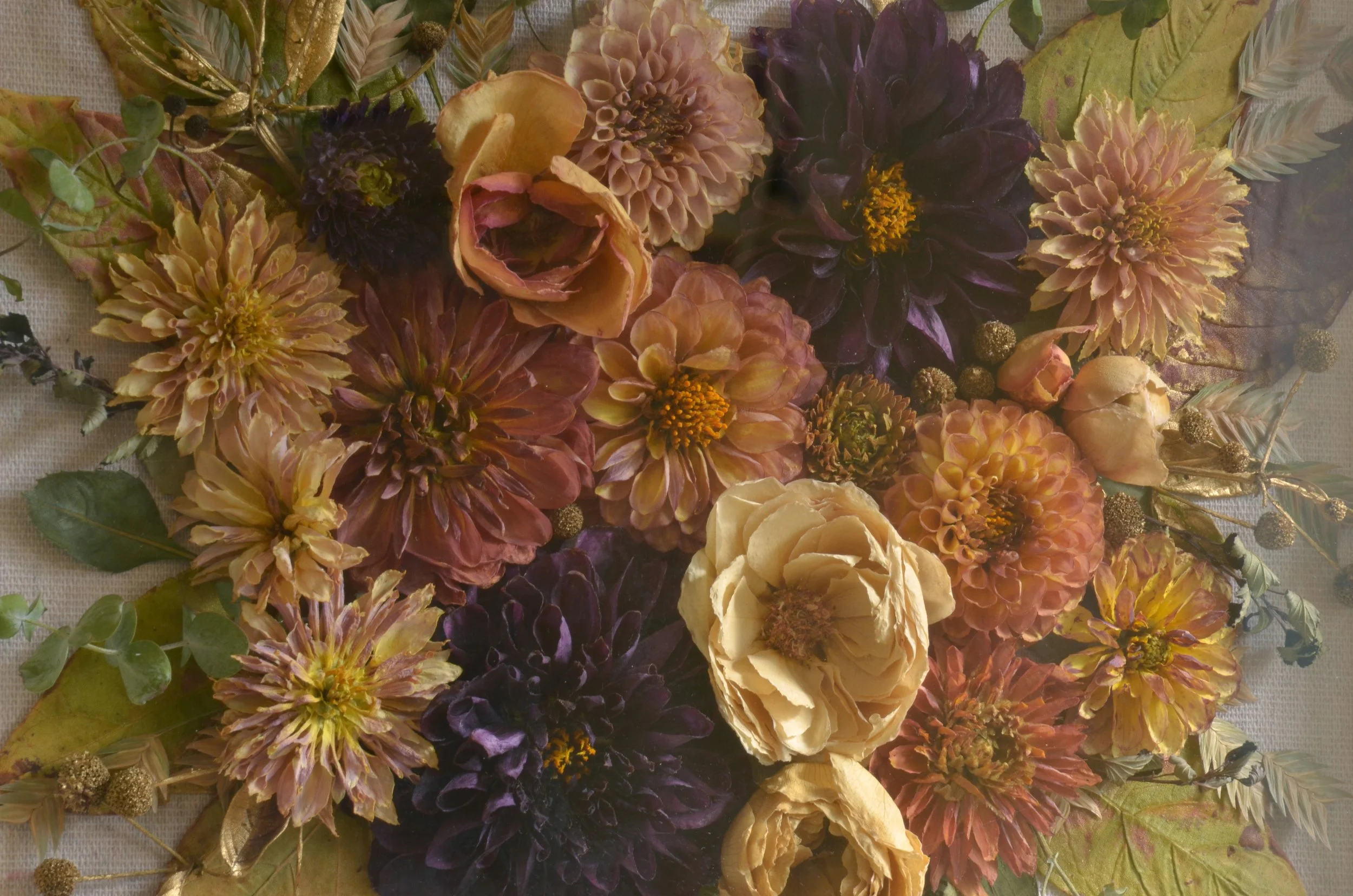 11x14 Shadowbox Frame | Wedding Flower Preservation — The Rambling